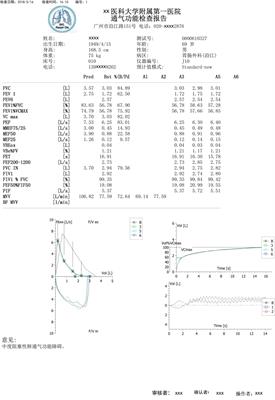 Deep Learning-Based Analytic Models Based on Flow-Volume Curves for Identifying Ventilatory Patterns